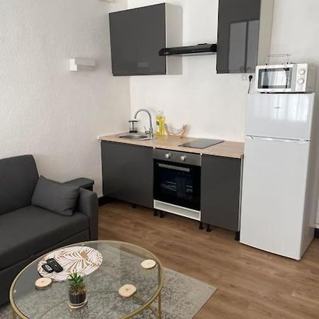 Апартаменти Magnifique T1 Bis Entierement Refait A Neuf Кане-ан-Руссійон Екстер'єр фото